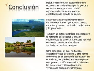 *
Delta Amacuro es un estado donde su
economía está dominada por la pesca y
recientemente, por la actividad
agropecuaria, especialmente la
explotación de ganado de carne.
Sus productos principalmente son el
cultivo de plátanos, yuca, maíz, arroz,
caraotas y cacao combinado con la pesca
y la ganadería.
También se extrae petróleo procesado en
la refinería de Tucupita y existen
yacimientos de bauxita. La escasa red vial
existente convierte a los ríos en
verdaderos caminos de agua.
Otro potencial, el cual no ha sido
explotado y que de alguna u otra forma
interviene en la economía del estado, en
el turismo, ya que Delta Amacuro posee
una gran extensión escenarios naturales,
los cuales son visitados tanto por
venezolano como por extranjeros.
 