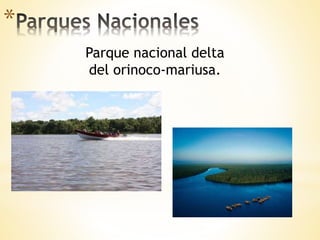 *
Parque nacional delta
del orinoco-mariusa.
 