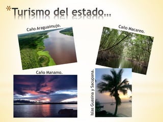 *
Caño Manamo.
IslasGuasinaySacupana.
 