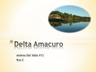 Andrea Del Valle #13
9no C
*
 