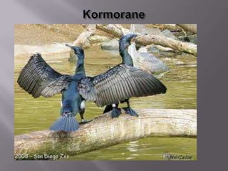 Delta axios,thanasis,jannis