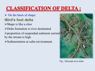 How Is Delta Shape DELTA.pptx