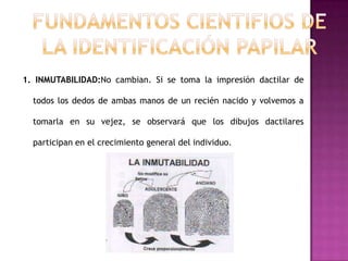 1. INMUTABILIDAD:No cambian. Si se toma la impresión dactilar de

  todos los dedos de ambas manos de un recién nacido y volvemos a

  tomarla en su vejez, se observará que los dibujos dactilares

  participan en el crecimiento general del individuo.
 