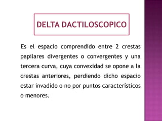 DELTA DACTILOSCOPICO

Es el espacio comprendido entre 2 crestas
papilares divergentes o convergentes y una
tercera curva, cuya convexidad se opone a la
crestas anteriores, perdiendo dicho espacio
estar invadido o no por puntos característicos
o menores.
 