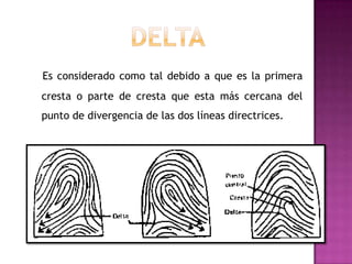 Es considerado como tal debido a que es la primera
cresta o parte de cresta que esta más cercana del
punto de divergencia de las dos líneas directrices.
 