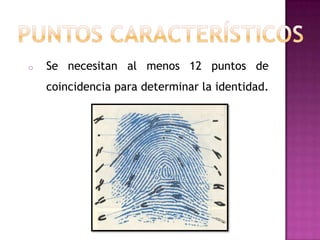 o   Se necesitan al menos 12 puntos de
    coincidencia para determinar la identidad.
 