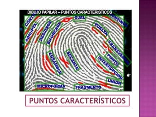 PUNTOS CARACTERÍSTICOS
 