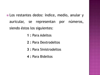  Los   restantes dedos: índice, medio, anular y
 auricular,    se   representan    por   números,
 siendo éstos los siguientes:
              1 : Para Adeltos

              2 : Para Dextrodeltos

              3 : Para Sinistrodeltos

              4 : Para Bideltos
 