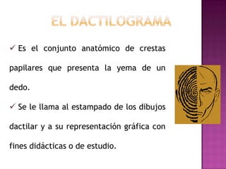  Es el conjunto anatómico de crestas

papilares que presenta la yema de un

dedo.

 Se le llama al estampado de los dibujos

dactilar y a su representación gráfica con

fines didácticas o de estudio.
 