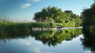 Delta del Danubio
 