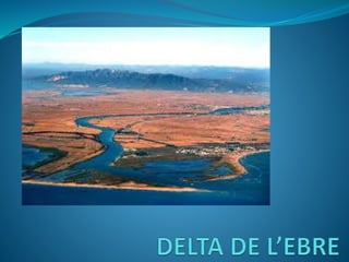 Delta de l’ebre1