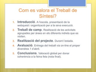 Com es valora el Treball de
Síntesi?
1. Introducció. A l’escola, presentació de la
webquest i organització per a la seva execució.
2. Treball de camp. Realització de les activitats
agrupades per àrees en els diferents indrets que es
visiten.
3. Realització del projecte. Durant l’estada.
4. Avaluació. Entrega del treball via on-line el proper
divendres 1 d’abril.
5. Conclusions. Valoració global per donar
coherència a la feina feta (nota final).
 