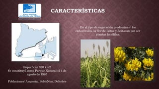 CARACTERÍSTICAS
Superficie: 320 km2
Se constituyó como Parque Natural el 4 de
agosto de 1983
Poblaciones: Amposta, PobleNou, Deltebre
En el tipo de vegetación predominan: los
cañaverales, la flor de Lotus y destacan por ser
plantas halófilas.
 