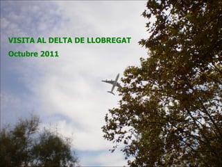 VISITA AL DELTA DE LLOBREGAT  Octubre 2011 