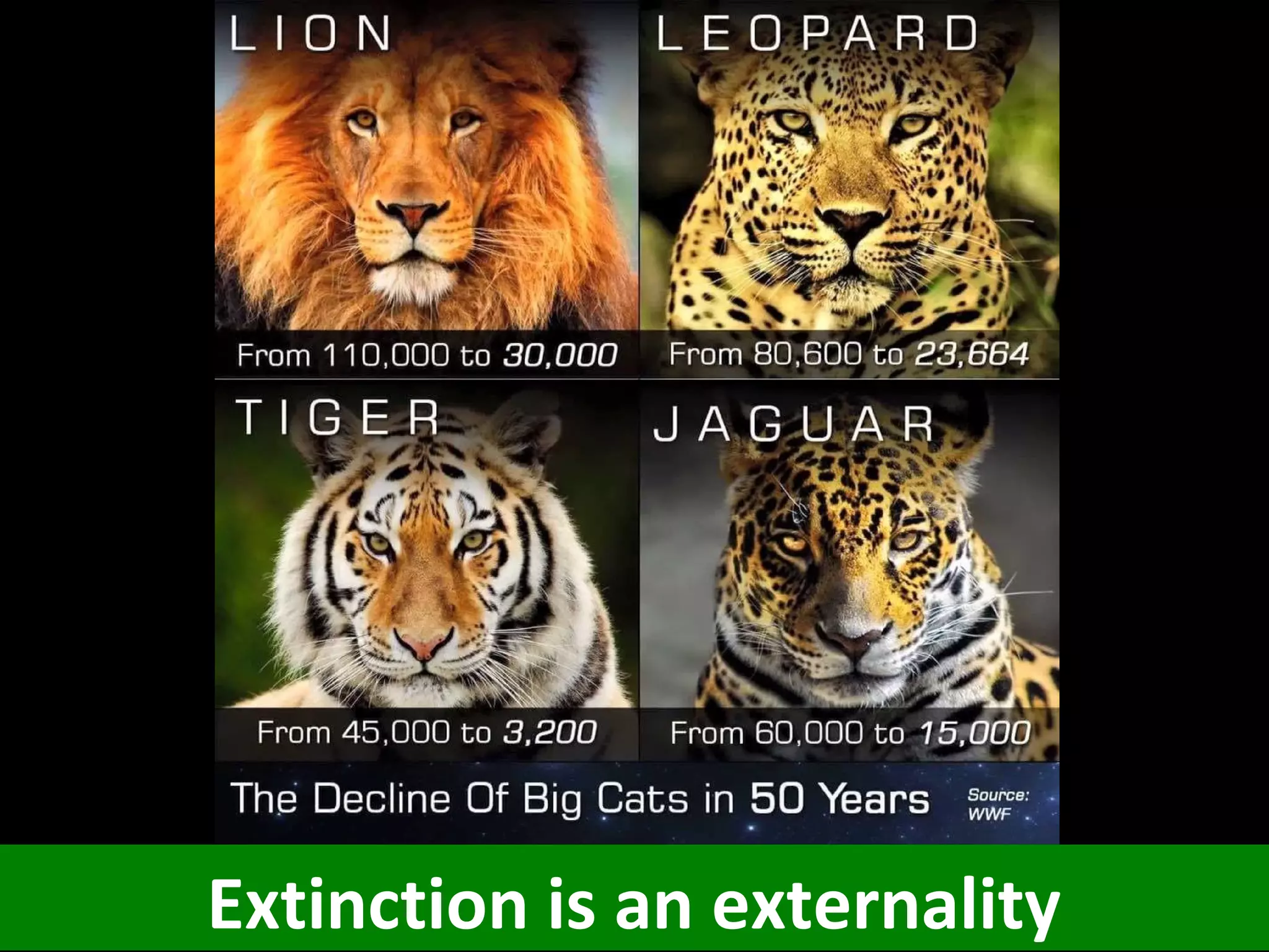 Extinction is an externality
 