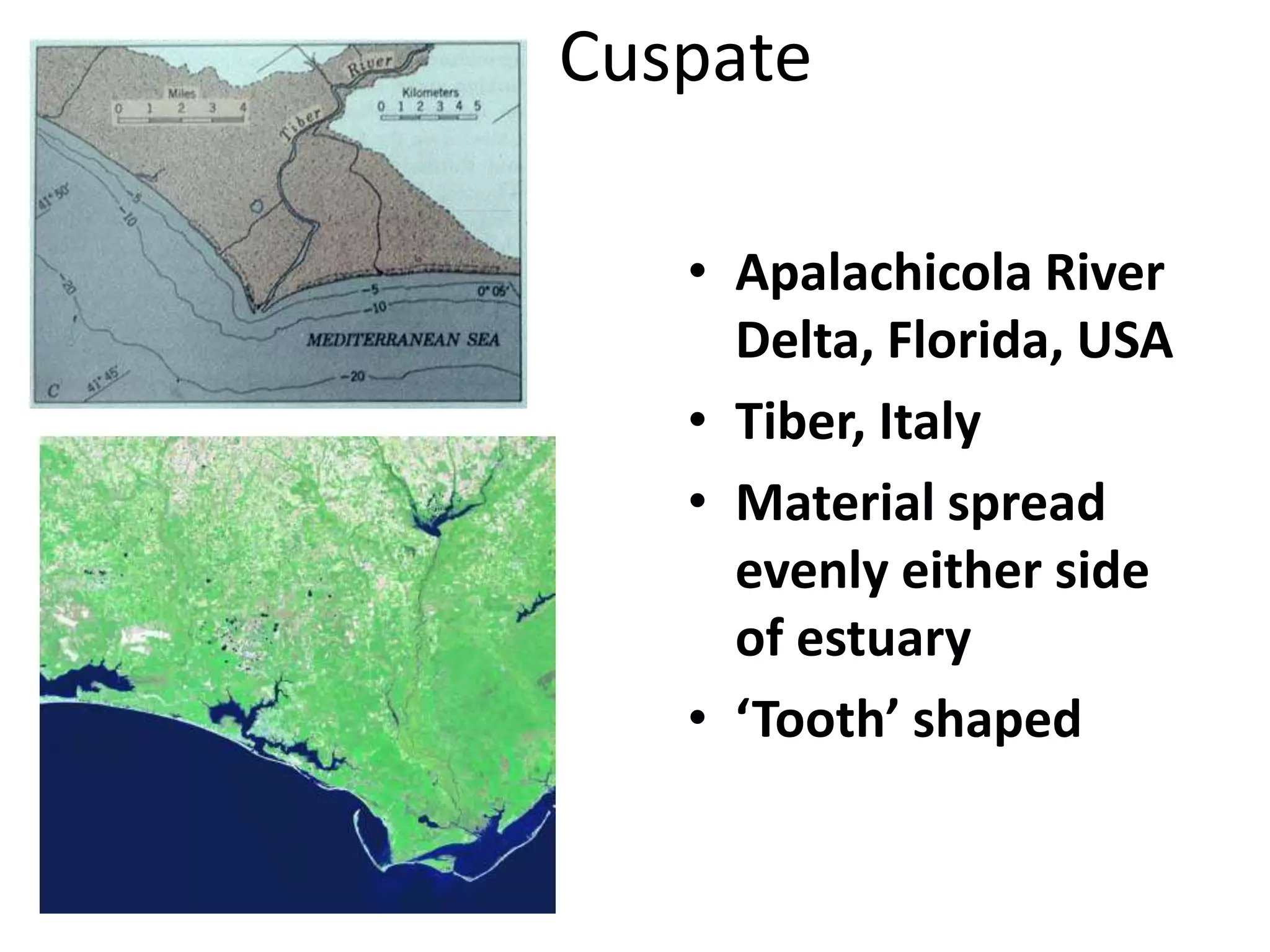Cuspate

   • Apalachicola River
     Delta, Florida, USA
   • Tiber, Italy
   • Material spread
     evenly either side
     of estuary
   • ‘Tooth’ shaped
 