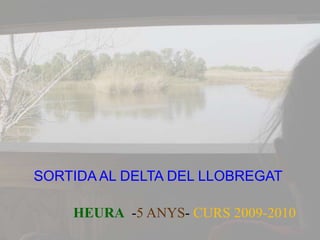  SORTIDA AL DELTA DEL LLOBREGAT HEURA  -5 ANYS- CURS 2009-2010 