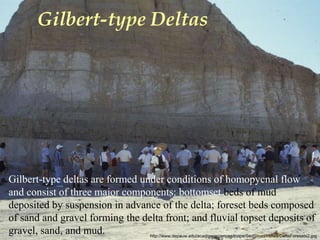 Gilbert-type Deltas
http://www.depauw.edu/acad/geosciences/tcope/SedStruct/HiRes/DeltaForesets2.jpg
Gilbert-type deltas are formed under conditions of homopycnal flow
and consist of three major components: bottomset beds of mud
deposited by suspension in advance of the delta; foreset beds composed
of sand and gravel forming the delta front; and fluvial topset deposits of
gravel, sand, and mud.
 