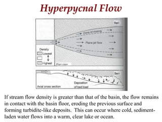 Hyperpycnal Flow
If stream flow density is greater than that of the basin, the flow remains
in contact with the basin floor, eroding the previous surface and
forming turbidite-like deposits. This can occur where cold, sediment-
laden water flows into a warm, clear lake or ocean.
 
