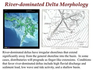 River-dominated Delta Morphology
River-dominated deltas have irregular shorelines that extend
significantly away from the general shoreline into the basin. In some
cases, distributaries will prograde as finger-like extensions. Conditions
that favor river-dominated deltas include high fluvial discharge and
sediment load, low wave and tide activity, and a shallow basin.
 
