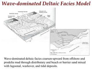 Wave-dominated Deltaic Facies Model
Wave-dominated deltaic facies coarsen-upward from offshore and
prodelta mud through distributary and beach or barrier sand mixed
with lagoonal, washover, and tidal deposits.
 