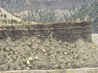 Photo by W. W. Little
 