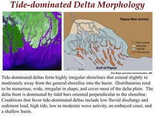 Tide-dominated Delta Morphology
Tide-dominated deltas form highly irregular shorelines that extend slightly to
moderately away from the general shoreline into the basin. Distributaries tend
to be numerous, wide, irregular in shape, and cover most of the delta plain. The
delta front is dominated by tidal bars oriented perpendicular to the shoreline.
Conditions that favor tide-dominated deltas include low fluvial discharge and
sediment load, high tide, low to moderate wave activity, an embayed coast, and
a shallow basin.
 