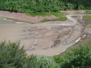 Photo by W. W. Little
 