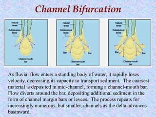 Channel Bifurcation
As fluvial flow enters a standing body of water, it rapidly loses
velocity, decreasing its capacity to transport sediment. The coarsest
material is deposited in mid-channel, forming a channel-mouth bar.
Flow diverts around the bar, depositing additional sediment in the
form of channel margin bars or levees. The process repeats for
increasingly numerous, but smaller, channels as the delta advances
basinward.
 