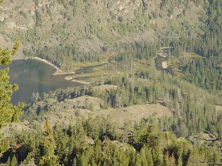 Photo by W. W. Little
 