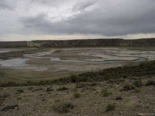 Photo by W. W. Little
 