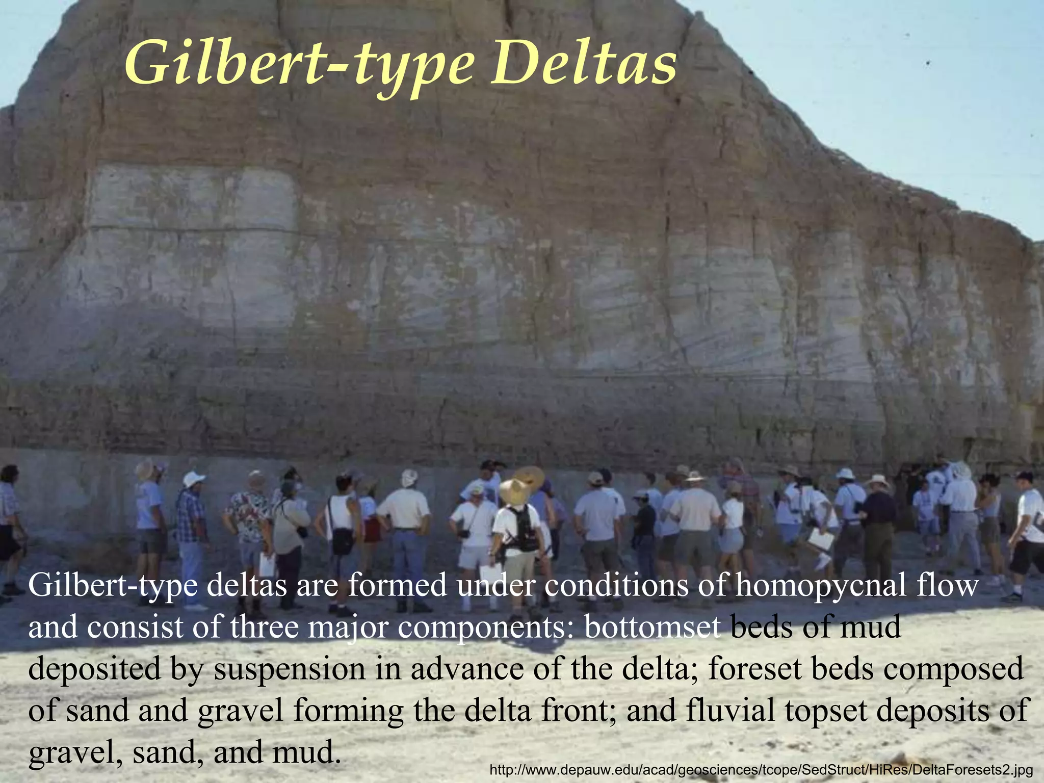 Gilbert-type Deltas
http://www.depauw.edu/acad/geosciences/tcope/SedStruct/HiRes/DeltaForesets2.jpg
Gilbert-type deltas are formed under conditions of homopycnal flow
and consist of three major components: bottomset beds of mud
deposited by suspension in advance of the delta; foreset beds composed
of sand and gravel forming the delta front; and fluvial topset deposits of
gravel, sand, and mud.
 