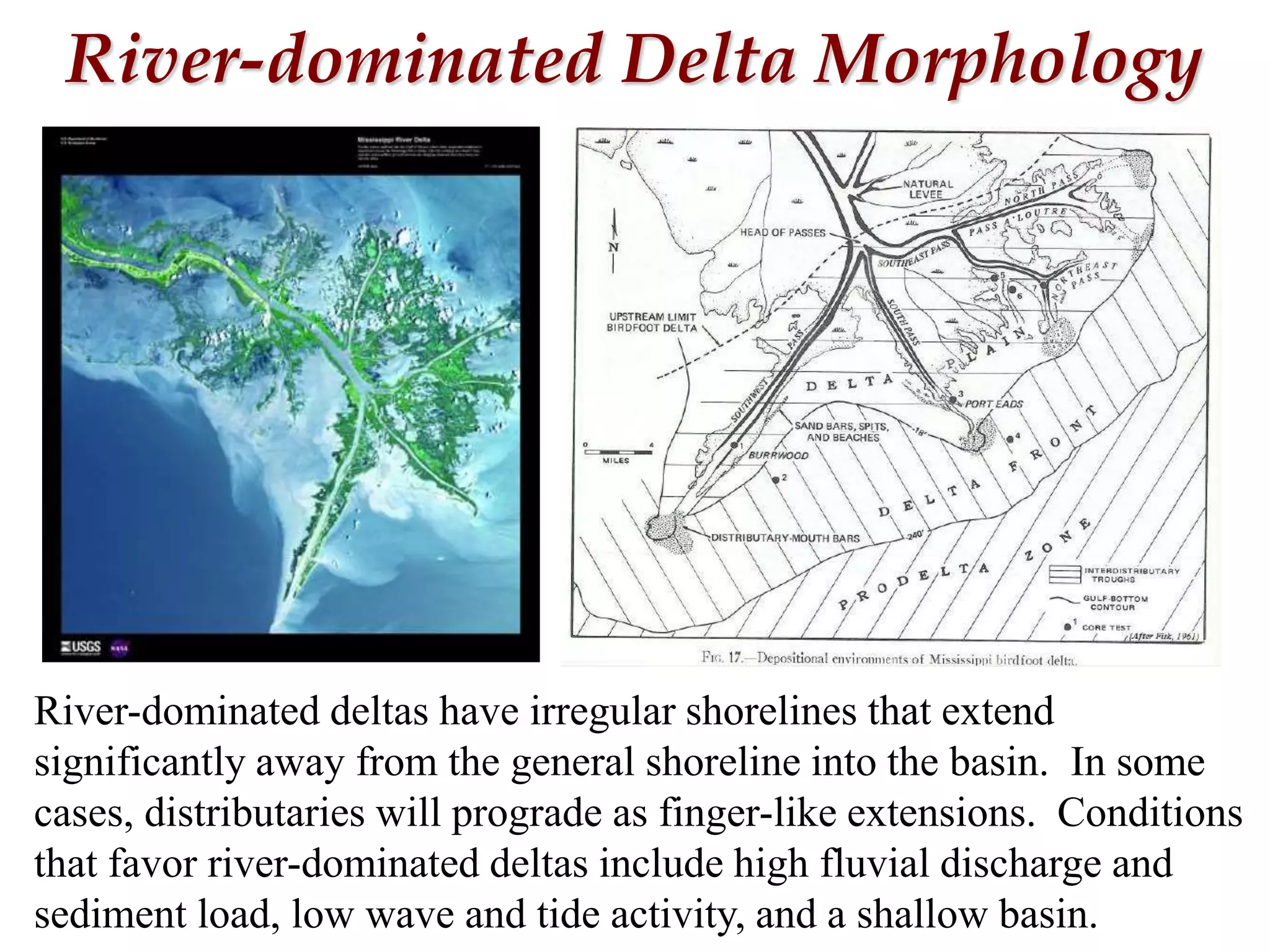 River-dominated Delta Morphology
River-dominated deltas have irregular shorelines that extend
significantly away from the general shoreline into the basin. In some
cases, distributaries will prograde as finger-like extensions. Conditions
that favor river-dominated deltas include high fluvial discharge and
sediment load, low wave and tide activity, and a shallow basin.
 