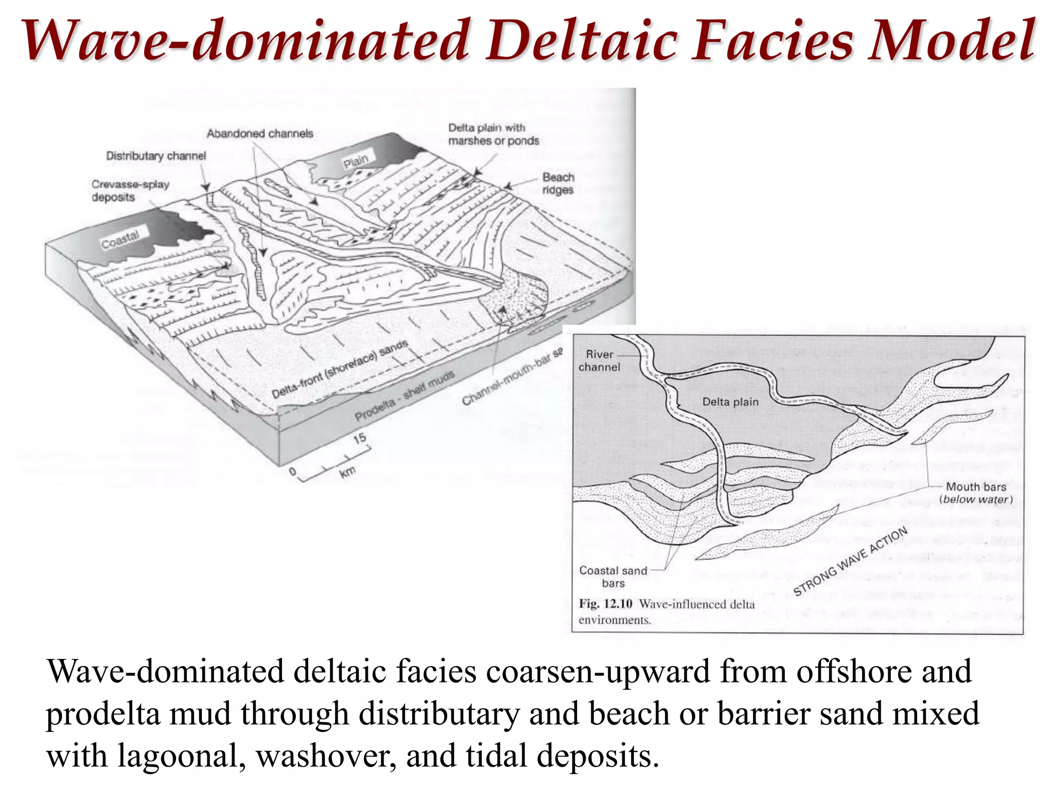 Wave-dominated Deltaic Facies Model
Wave-dominated deltaic facies coarsen-upward from offshore and
prodelta mud through distributary and beach or barrier sand mixed
with lagoonal, washover, and tidal deposits.
 