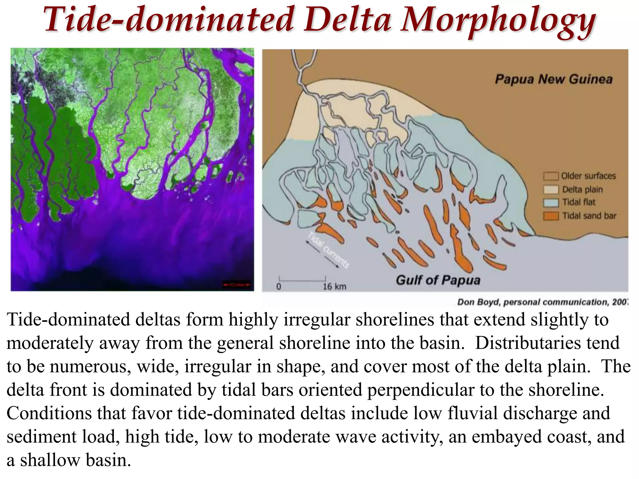Tide-dominated Delta Morphology
Tide-dominated deltas form highly irregular shorelines that extend slightly to
moderately away from the general shoreline into the basin. Distributaries tend
to be numerous, wide, irregular in shape, and cover most of the delta plain. The
delta front is dominated by tidal bars oriented perpendicular to the shoreline.
Conditions that favor tide-dominated deltas include low fluvial discharge and
sediment load, high tide, low to moderate wave activity, an embayed coast, and
a shallow basin.
 