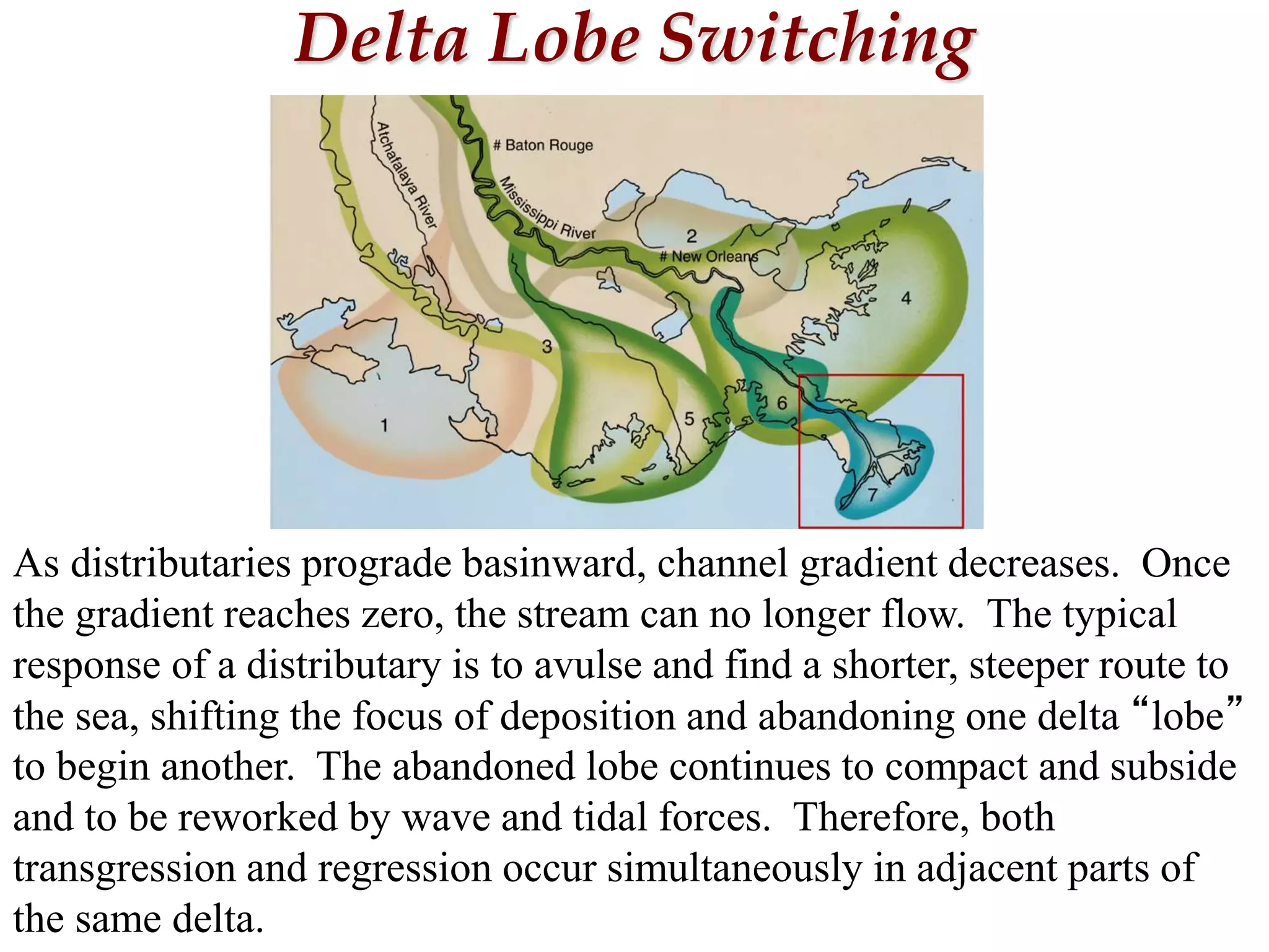 Delta Lobe Switching
As distributaries prograde basinward, channel gradient decreases. Once
the gradient reaches zero, the stream can no longer flow. The typical
response of a distributary is to avulse and find a shorter, steeper route to
the sea, shifting the focus of deposition and abandoning one delta “lobe”
to begin another. The abandoned lobe continues to compact and subside
and to be reworked by wave and tidal forces. Therefore, both
transgression and regression occur simultaneously in adjacent parts of
the same delta.
 