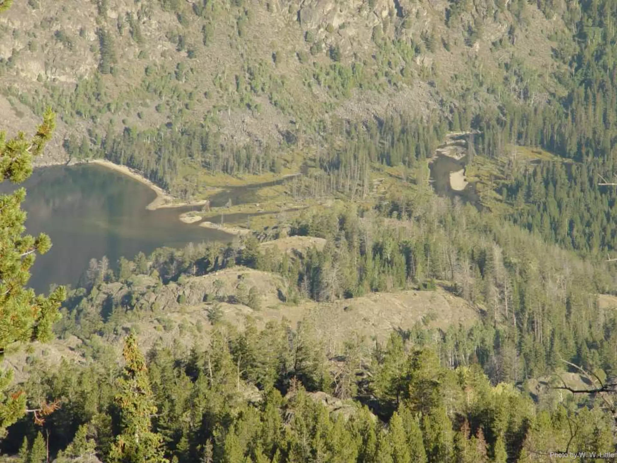 Photo by W. W. Little
 