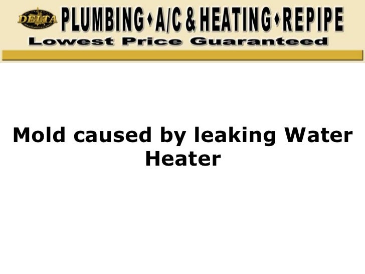 Mold caused by leaking Water Heater