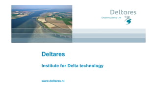 Deltares
Institute for Delta technology


www.deltares.nl
 