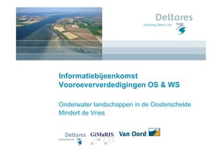 Informatiebijeenkomst
Vooroeververdedigingen OS & WS

Onderwater landschappen in de Oosterschelde
Mindert de Vries
 