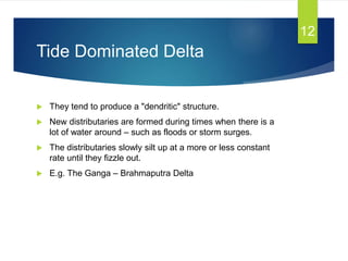 Tide Dominated Delta
 They tend to produce a "dendritic" structure.
 New distributaries are formed during times when there is a
lot of water around – such as floods or storm surges.
 The distributaries slowly silt up at a more or less constant
rate until they fizzle out.
 E.g. The Ganga – Brahmaputra Delta
12
 