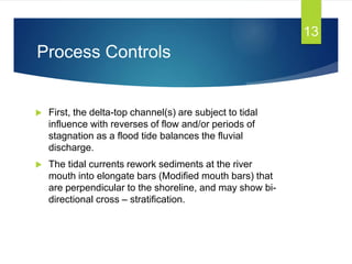 Process Controls
 First, the delta-top channel(s) are subject to tidal
influence with reverses of flow and/or periods of
stagnation as a flood tide balances the fluvial
discharge.
 The tidal currents rework sediments at the river
mouth into elongate bars (Modified mouth bars) that
are perpendicular to the shoreline, and may show bi-
directional cross – stratification.
13
 