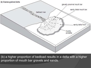 (b) a higher proportion of bedload results in a delta with a higher
proportion of mouth bar gravels and sands.
 