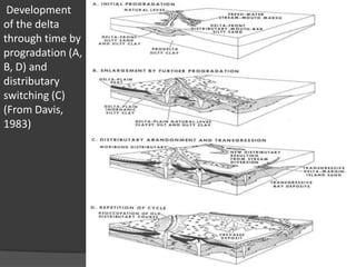 Development
of the delta
through time by
progradation (A,
B, D) and
distributary
switching (C)
(From Davis,
1983)
 