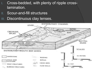 I.   Cross-bedded, with plenty of ripple cross-
     lamination.
II. Scour-and-fill structures
III. Discontinuous clay lenses.
 