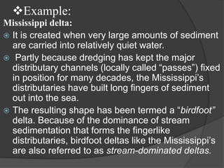 Example:
Mississippi delta:
 It is created when very large amounts of sediment
  are carried into relatively quiet water.
 Partly because dredging has kept the major
  distributary channels (locally called “passes”) fixed
  in position for many decades, the Mississippi‟s
  distributaries have built long fingers of sediment
  out into the sea.
 The resulting shape has been termed a “birdfoot”
  delta. Because of the dominance of stream
  sedimentation that forms the fingerlike
  distributaries, birdfoot deltas like the Mississippi‟s
  are also referred to as stream-dominated deltas.
 