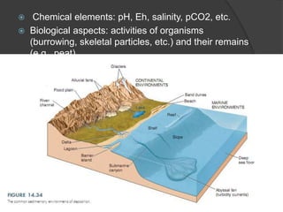   Chemical elements: pH, Eh, salinity, pCO2, etc.
 Biological aspects: activities of organisms
  (burrowing, skeletal particles, etc.) and their remains
  (e.g., peat)
 
