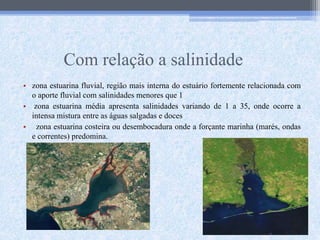 Com relação a salinidade
• zona estuarina fluvial, região mais interna do estuário fortemente relacionada com
o aporte fluvial com salinidades menores que 1
• zona estuarina média apresenta salinidades variando de 1 a 35, onde ocorre a
intensa mistura entre as águas salgadas e doces
• zona estuarina costeira ou desembocadura onde a forçante marinha (marés, ondas
e correntes) predomina.
 