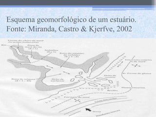 Esquema geomorfológico de um estuário.
Fonte: Miranda, Castro & Kjerfve, 2002
 