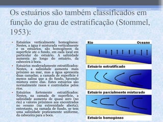 Os estuários são também classificados em
função do grau de estratificação (Stommel,
1953):
• Estuários verticalmente homogêneos:
Nestes, a água é misturada verticalmente
e os estuários. são homogêneos da
superfície ate o fundo, em cada local em
particular do estuário. A salinidade
aumenta ao longo do estuário, da
cabeceira à boca.
• Estuários moderadamente estratificados:
Nestes, a salinidade aumenta mais
próximo ao mar, mas a água apresenta
duas camadas; a camada de superfície é
menos salina que a do fundo, havendo
mistura entre elas. Estes estuários são
normalmente rasos e controlados pelos
rios.
• Estuários fortemente estratificados:
Nestes, na camada de superfície, a
salinidade aumenta de quase zero (no
rio) a valores próximos aos encontrados
no oceano (na extremidade aberta);
entretanto, na camada de fundo, se tem
uma salinidade praticamente uniforme,
da cabeceira para a boca.
 